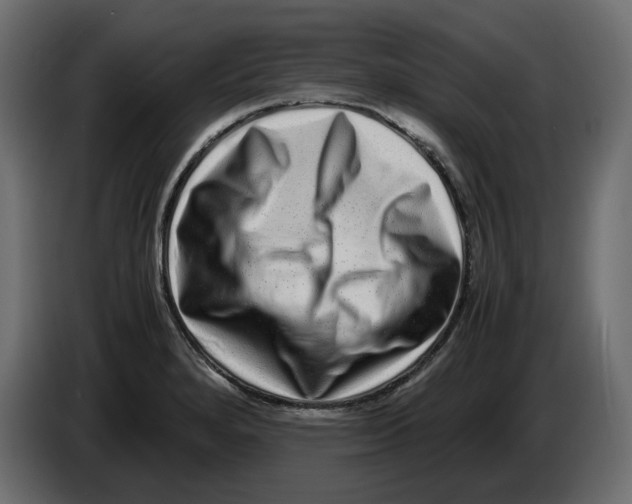 X0000082971280200703020226