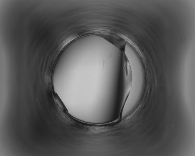 X0000082971281200703020226