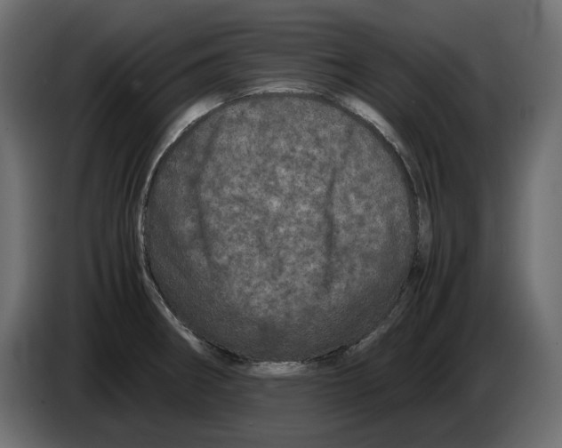 X0000082971282200703020226