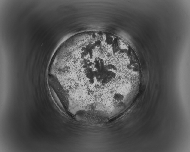 X0000082971283200703020226