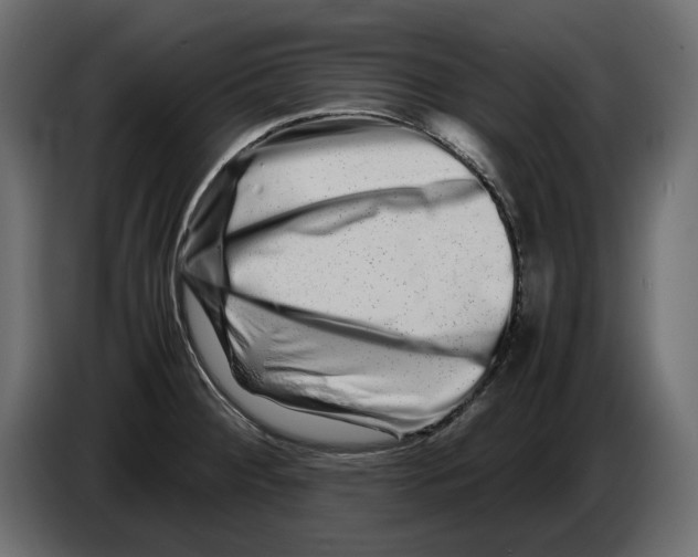 X0000082971284200703020226