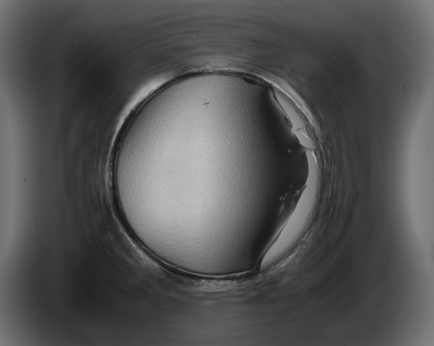 X0000082971285200703020226