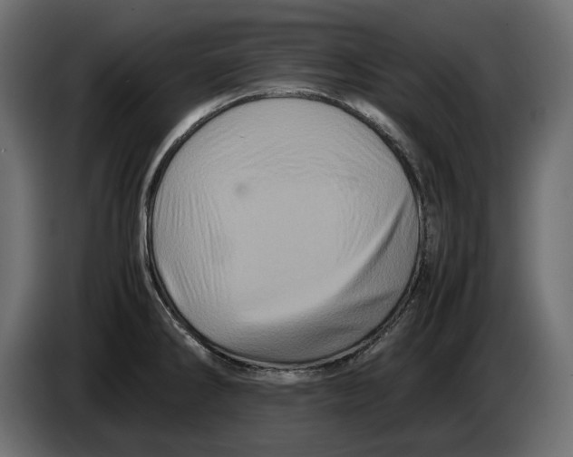 X0000082971286200703020226