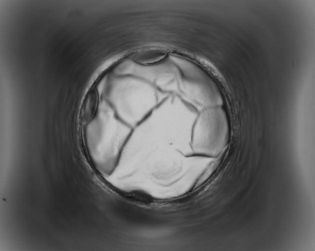 X0000082971287200703020226