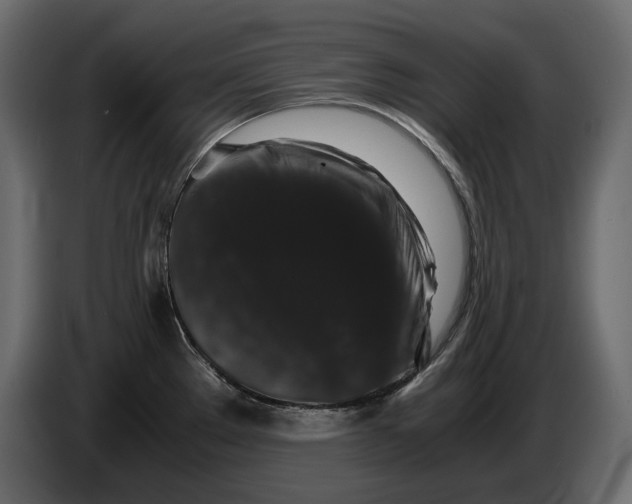 X0000082971289200703020226