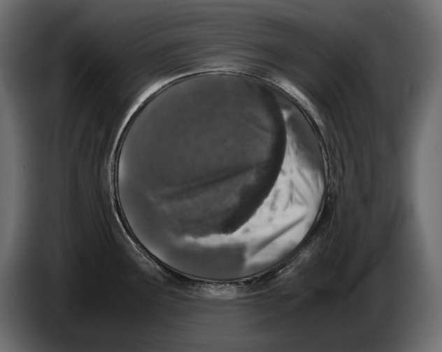 X0000082971291200703020226