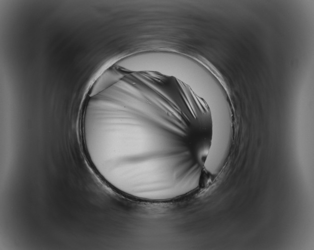 X0000082971293200703020226