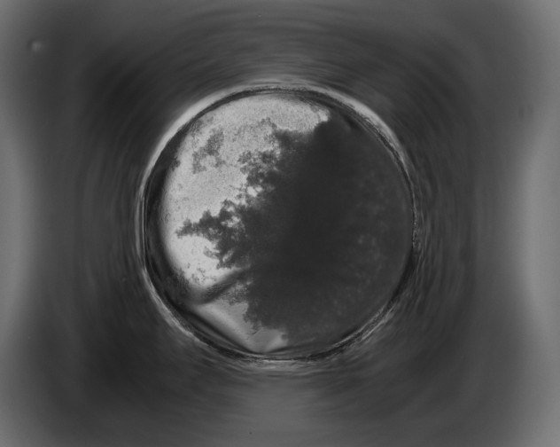 X0000082971295200703020226