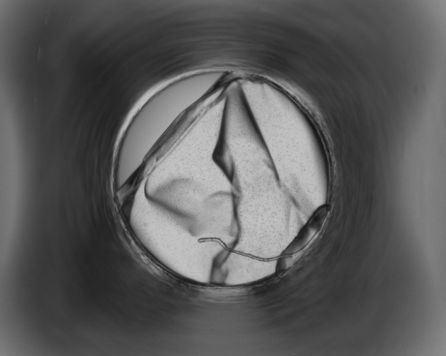 X0000082971296200703020226