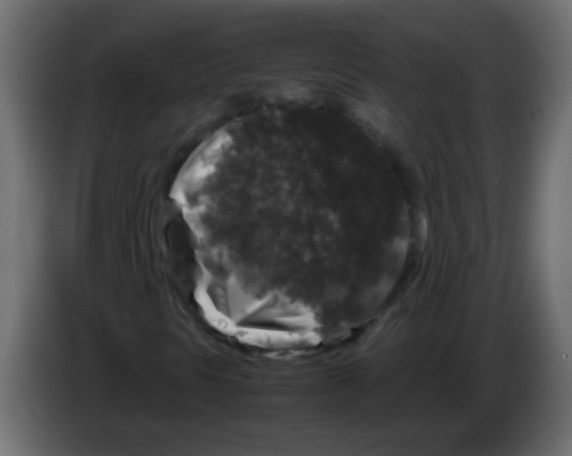 X0000082971297200703020225