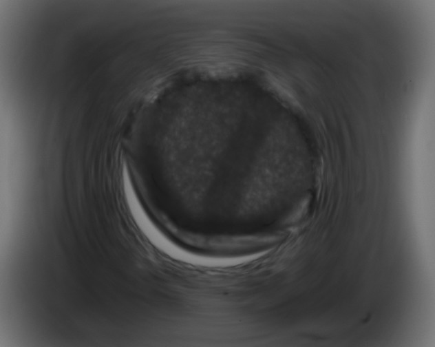 X0000082971298200703020225