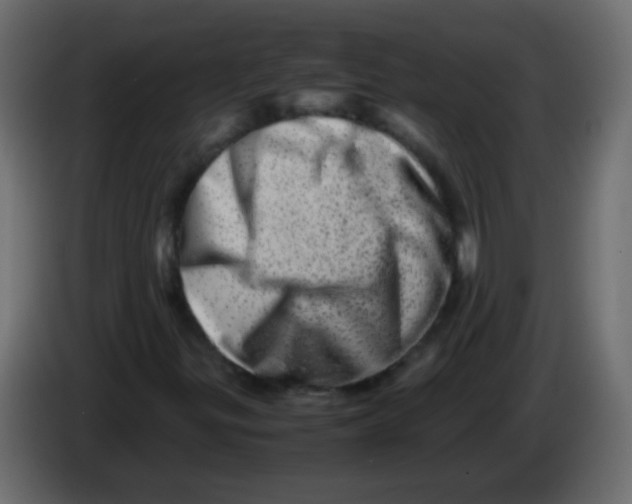 X0000082971299200703020225