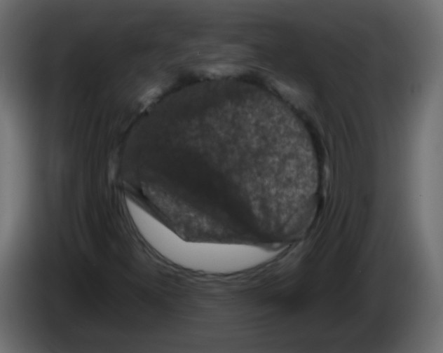 X0000082971300200703020225