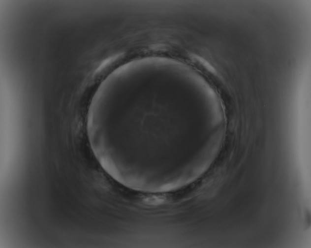 X0000082971303200703020225