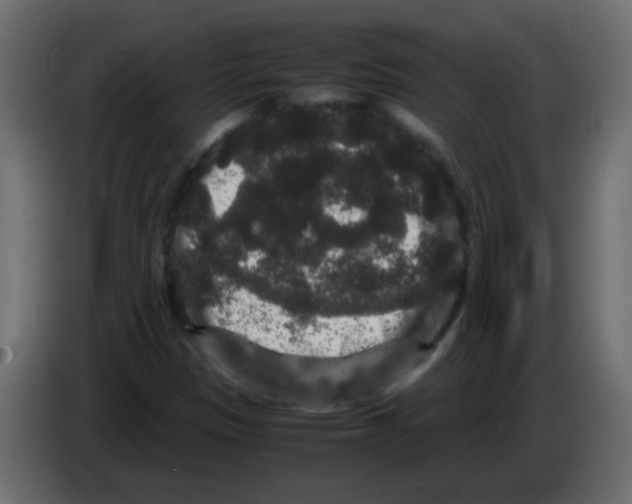 X0000082971305200703020225