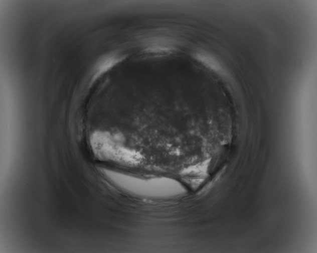 X0000082971306200703020225