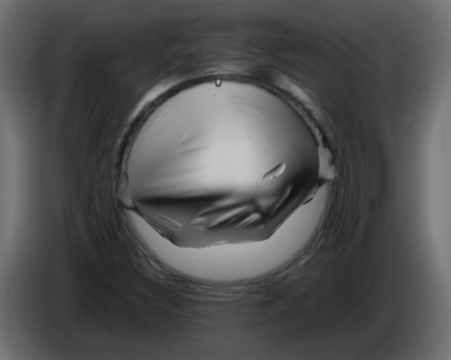 X0000082971308200703020225