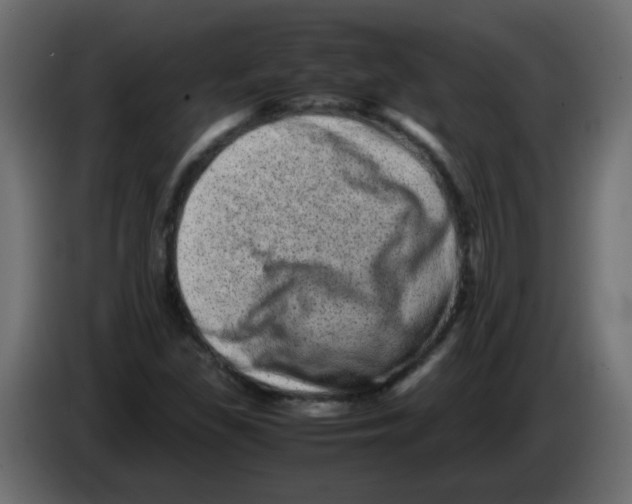 X0000082971309200703020225