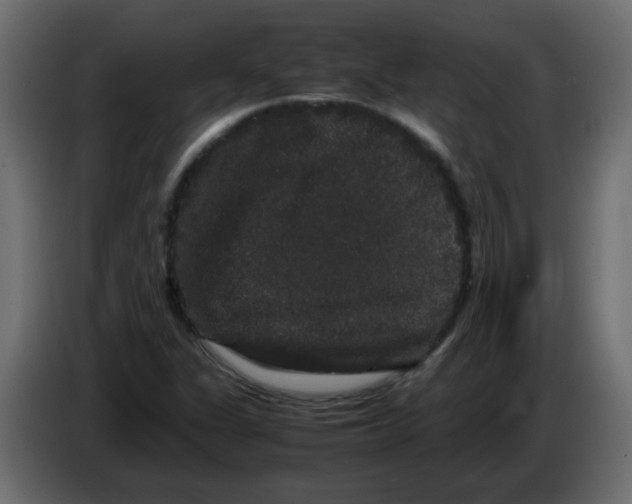 X0000082971311200703020225