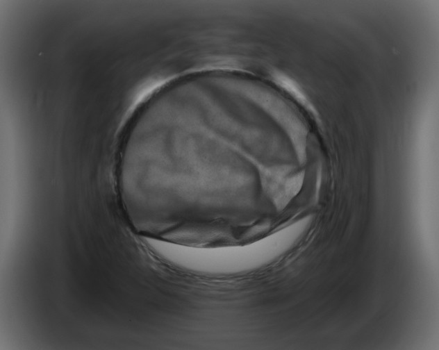 X0000082971312200703020225