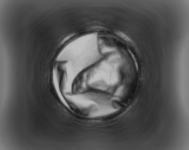 X0000082971313200703020225