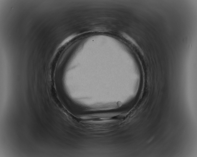 X0000082971315200703020226