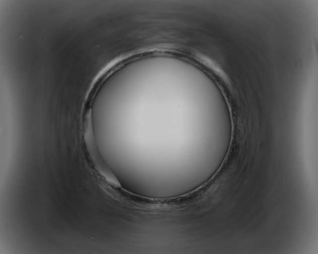 X0000082971316200703020226