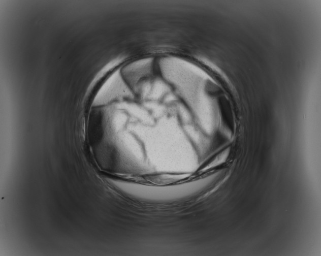 X0000082971317200703020226