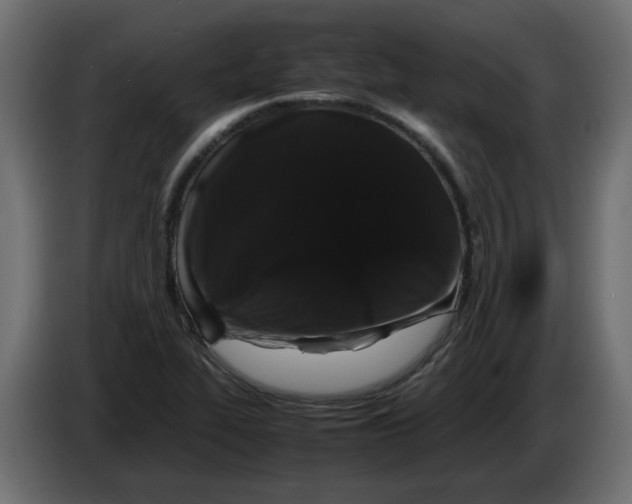 X0000082971319200703020226