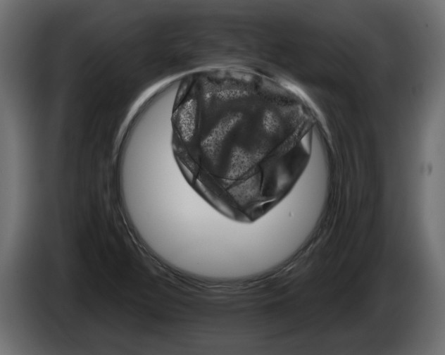 X0000082971320200703020226