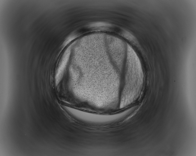 X0000082971321200703020226