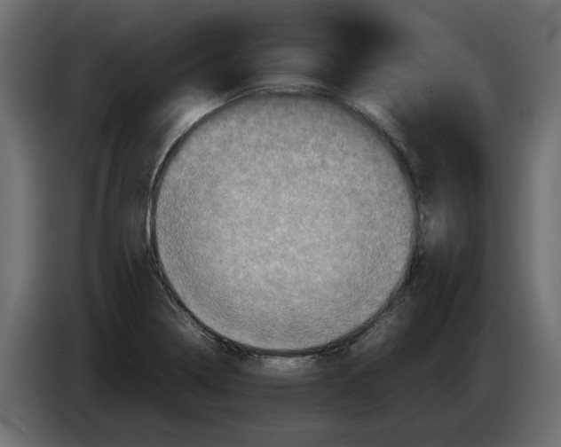 X0000082971322200703020226