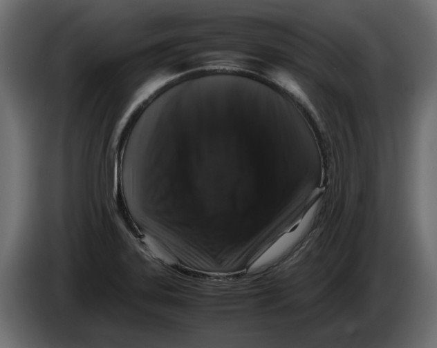 X0000082971323200703020226