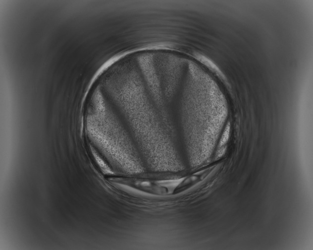 X0000082971324200703020226