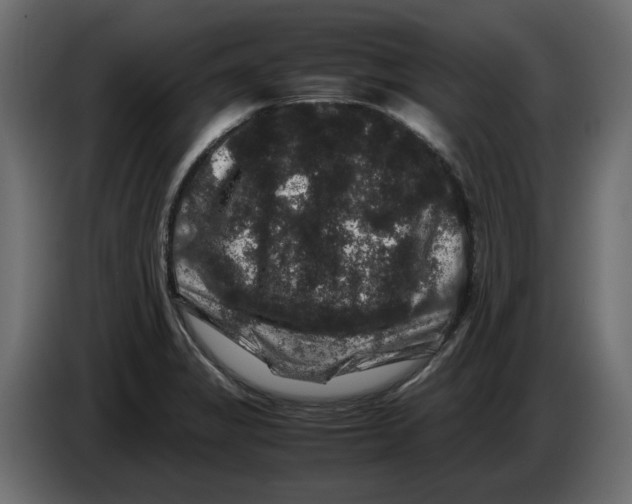 X0000082971325200703020226