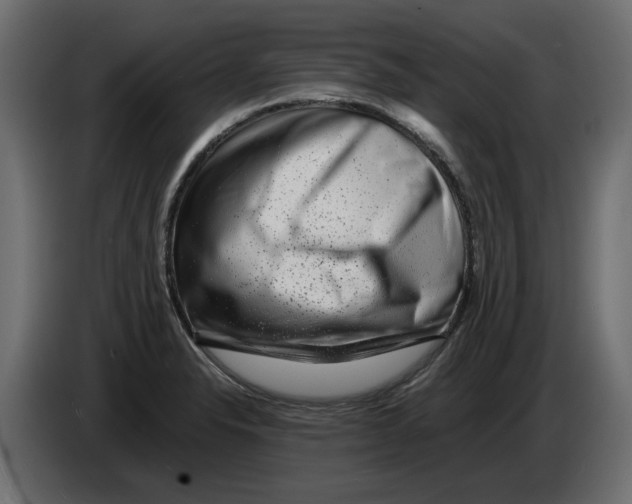 X0000082971326200703020226