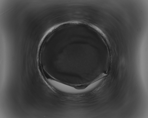 X0000082971327200703020226