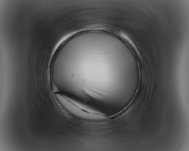 X0000082971328200703020226