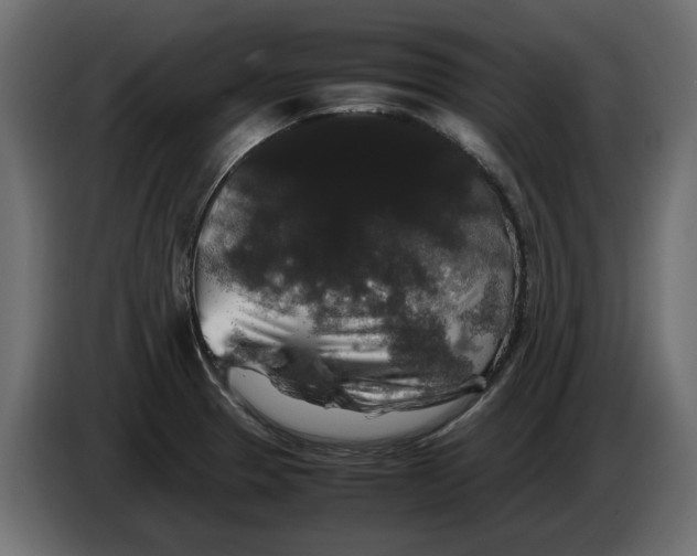 X0000082971329200703020226