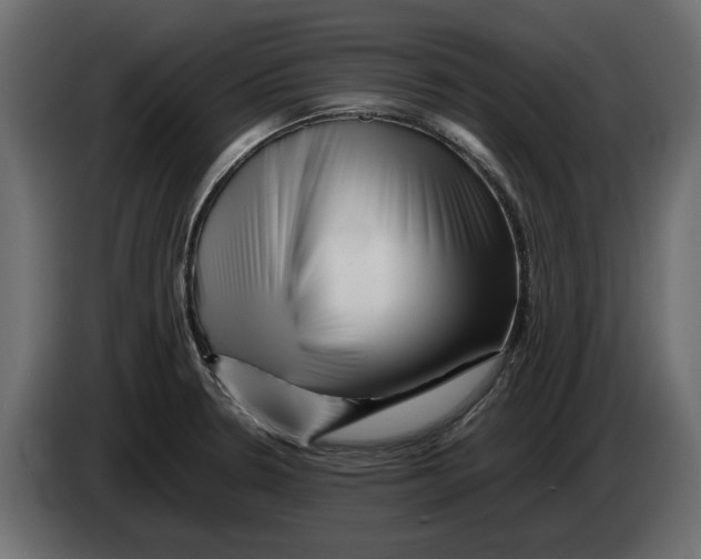 X0000082971330200703020226