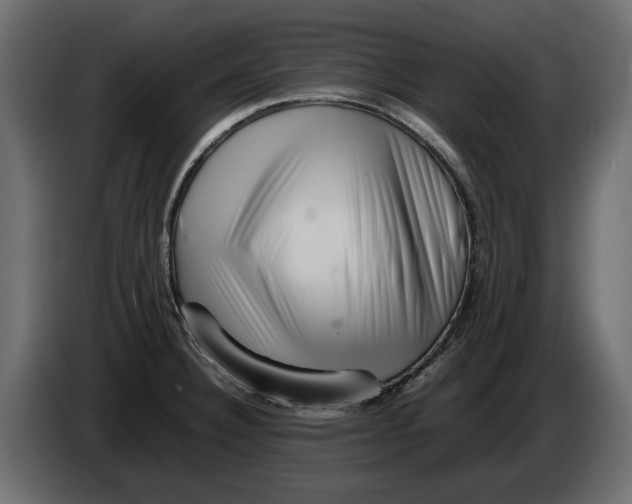 X0000082971332200703020226