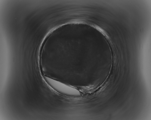 X0000082971334200703020226