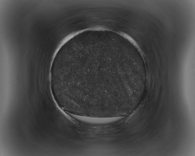 X0000082971335200703020226