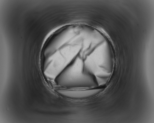 X0000082971336200703020226