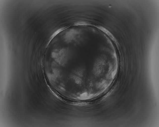 X0000082971337200703020226