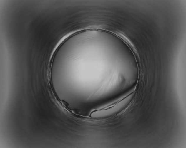 X0000082971340200703020226