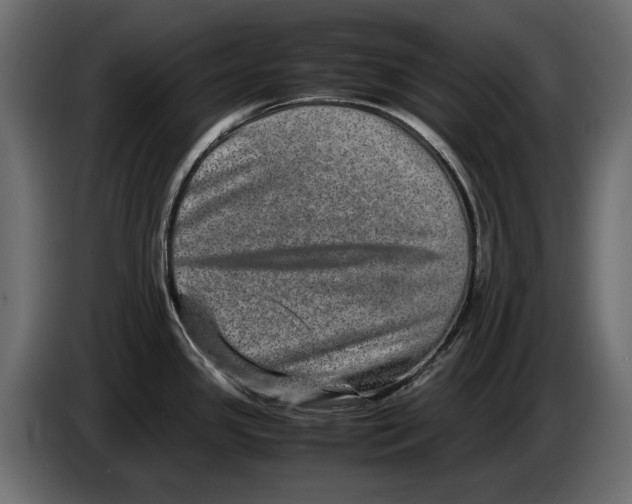 X0000082971341200703020226