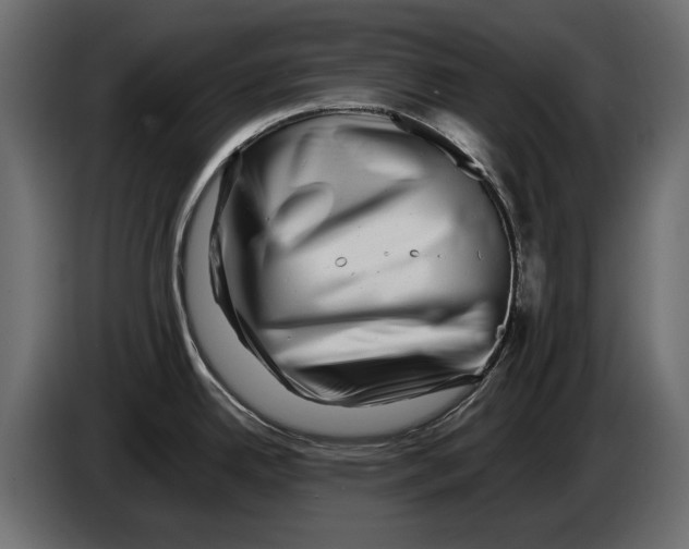 X0000082971342200703020226