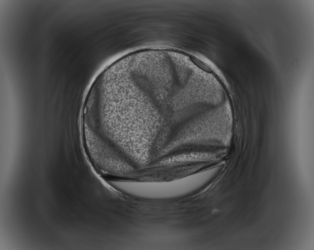 X0000082971343200703020226