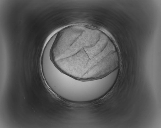 X0000082971344200703020226